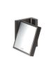 https://raleo.de:443/files/img/11eeea34b57de5f092906bba4399b90c/size_s/AXOR-HG-AXOR-Universal-Rectangular-Rasierspiegel-Polished-Black-Chrome-42649330 gallery number 1